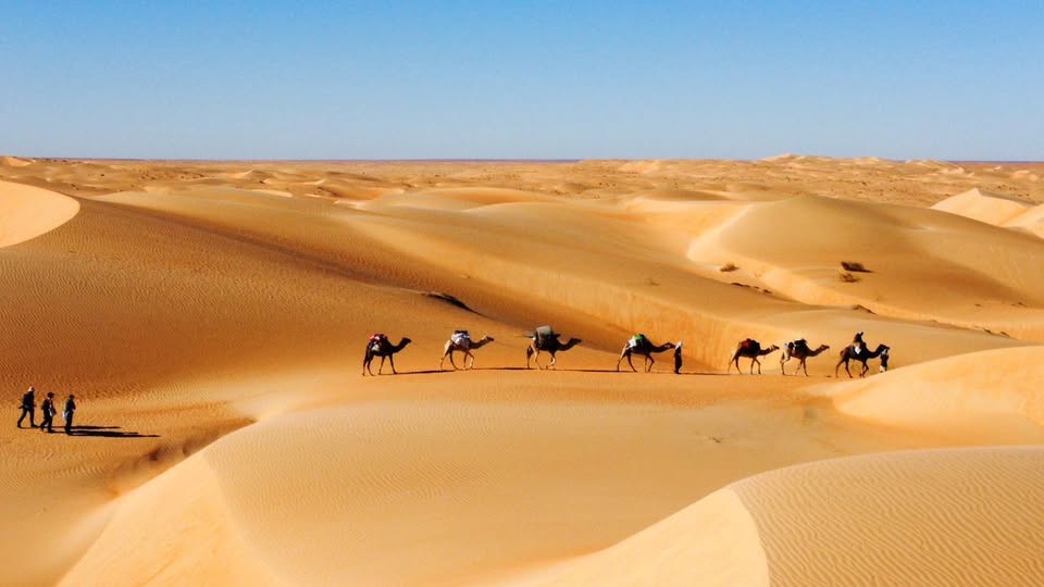 Between Dunes and Rocks: the Sahara Desert