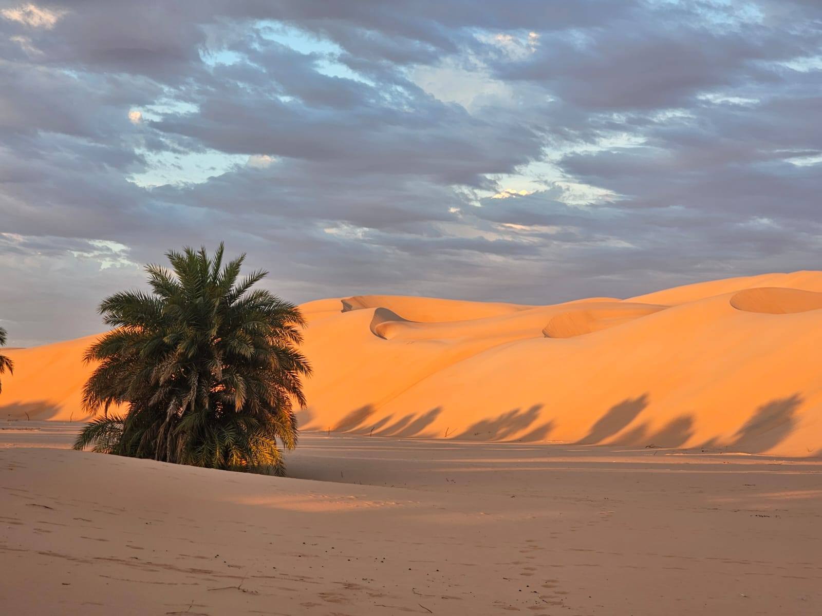 Amatlich Dunes: the Sahara Desert