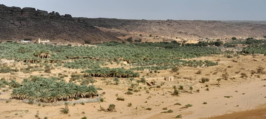 Discover the Oases of the Adrar and the Tagant