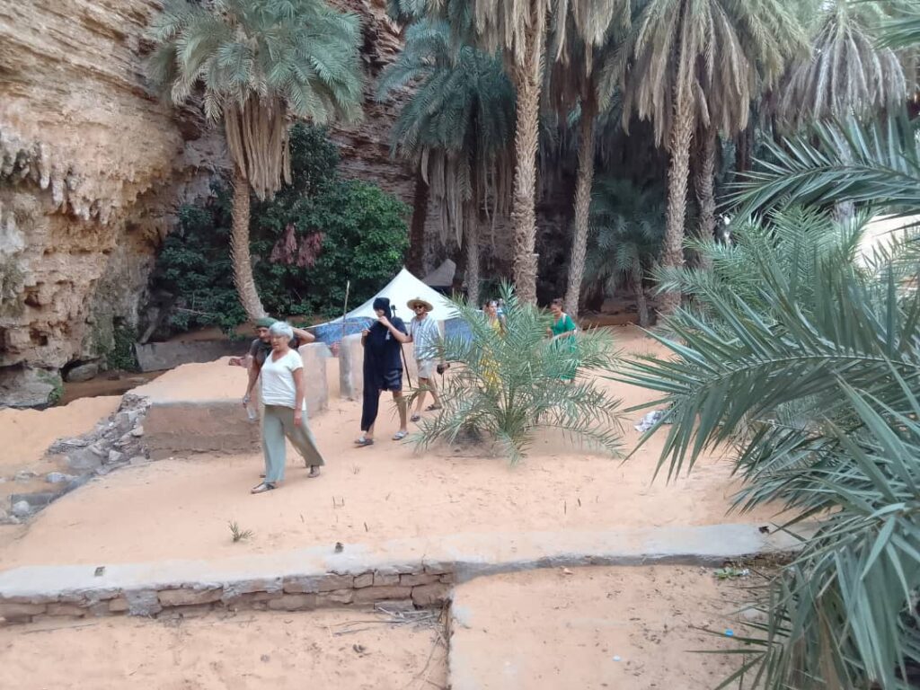 Tour guests walk through the Terjit Oasis.