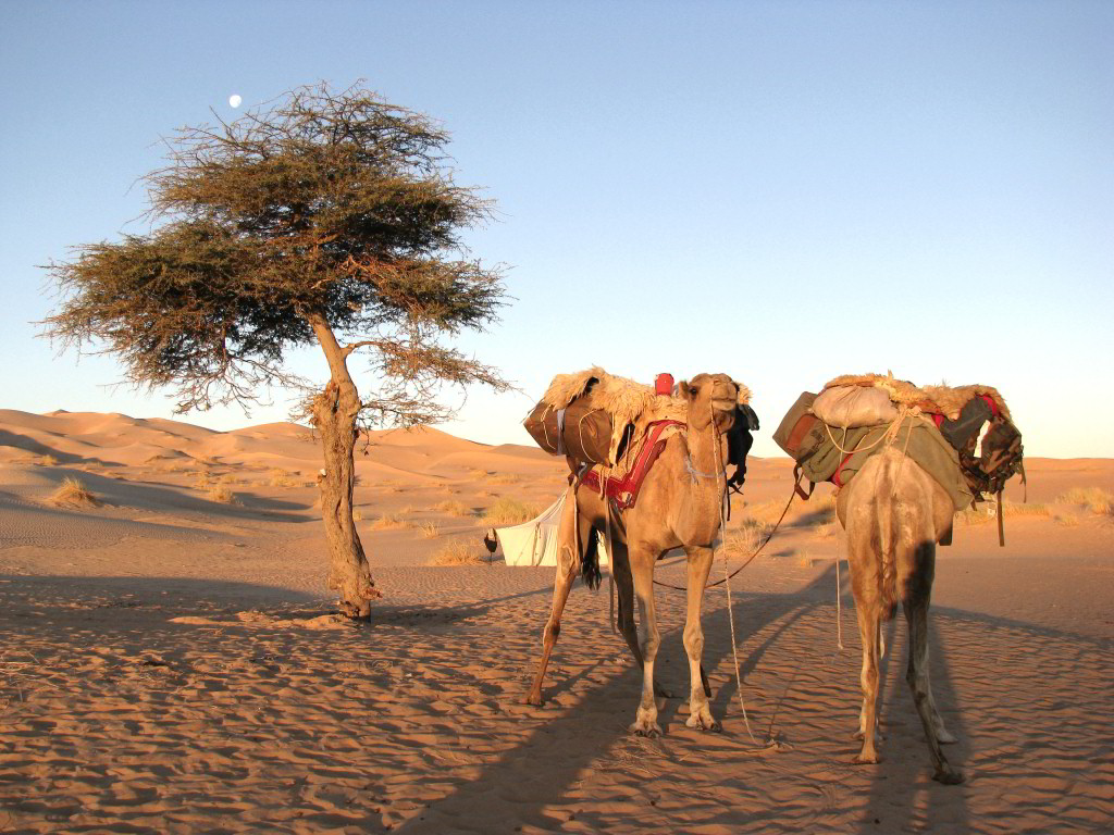 Dunes, Canyons and Oasis: Chinguetti—Terjit