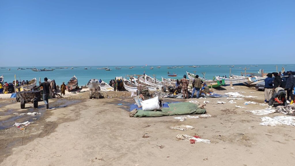 Fishermen pull their boats in at the Nouakchott fish market