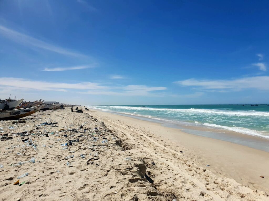 Banc d'Arguin coastline.