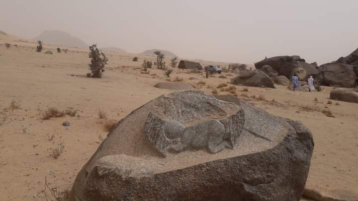 Rock carvings at Ben Aicha
