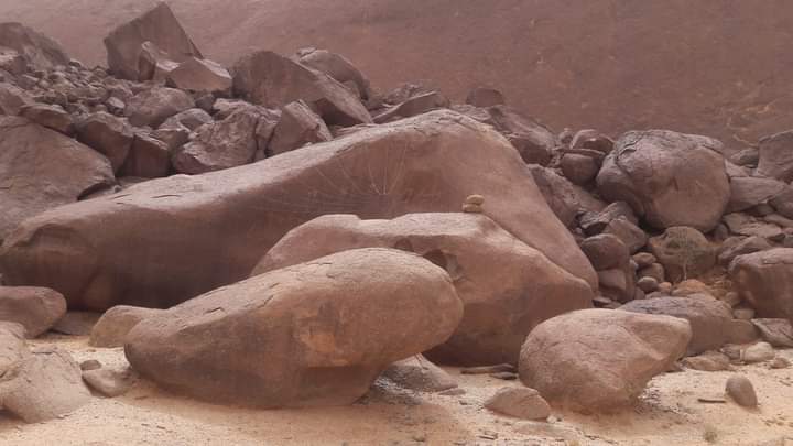 Rock carvings at Ben Aicha