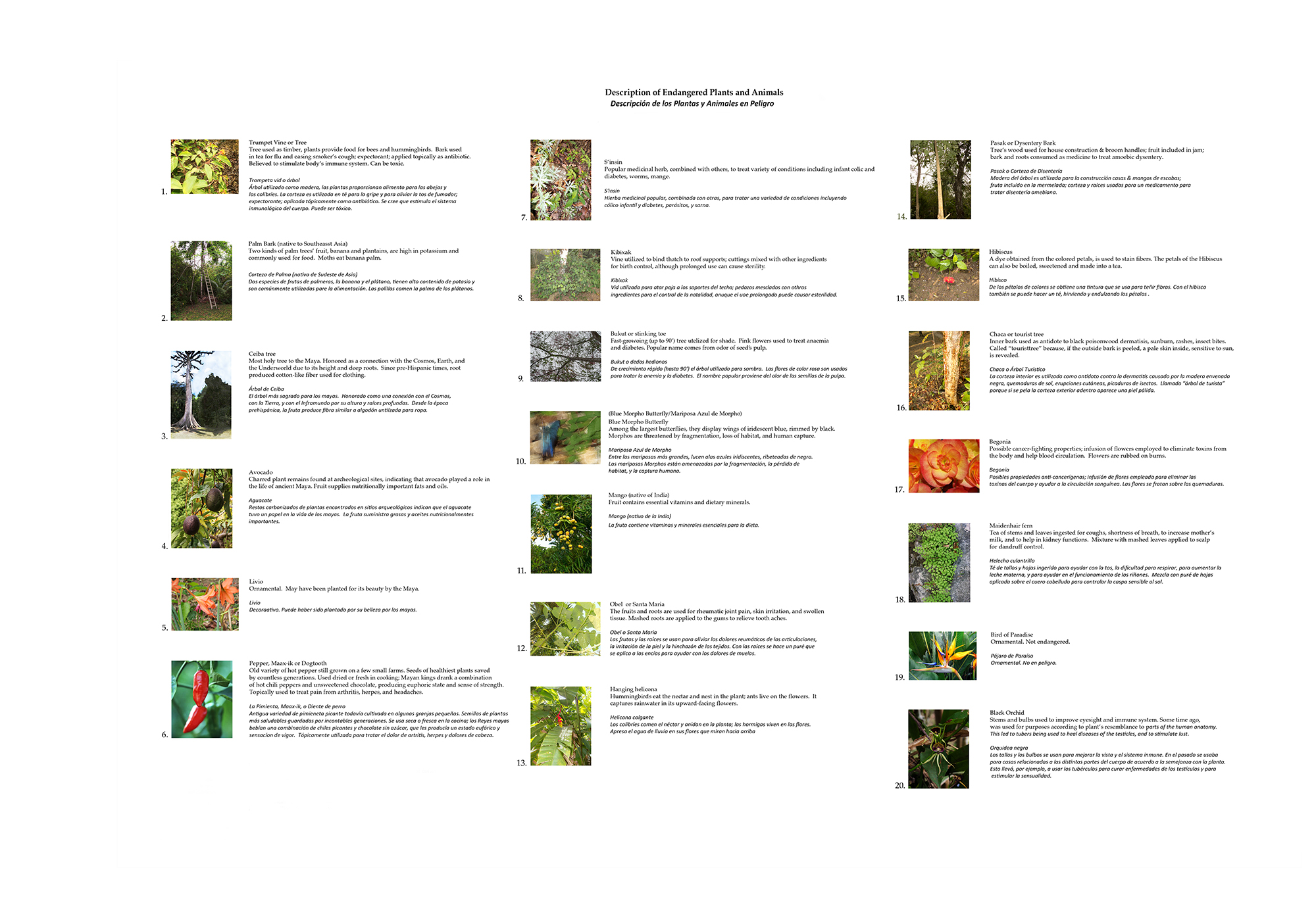 A legend of standard photos and descriptions of plantlife found in this book