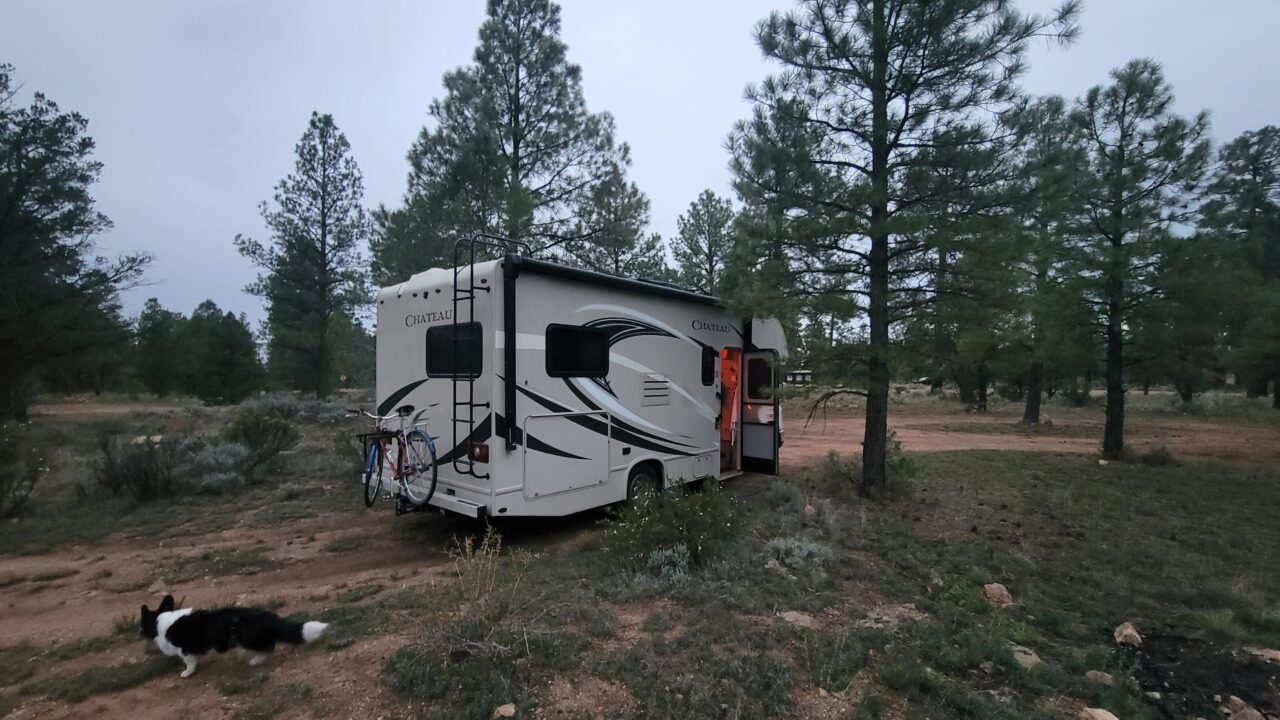 Lareine boondocked in the Kaibab Forest on the south rim of the Grand Canyon