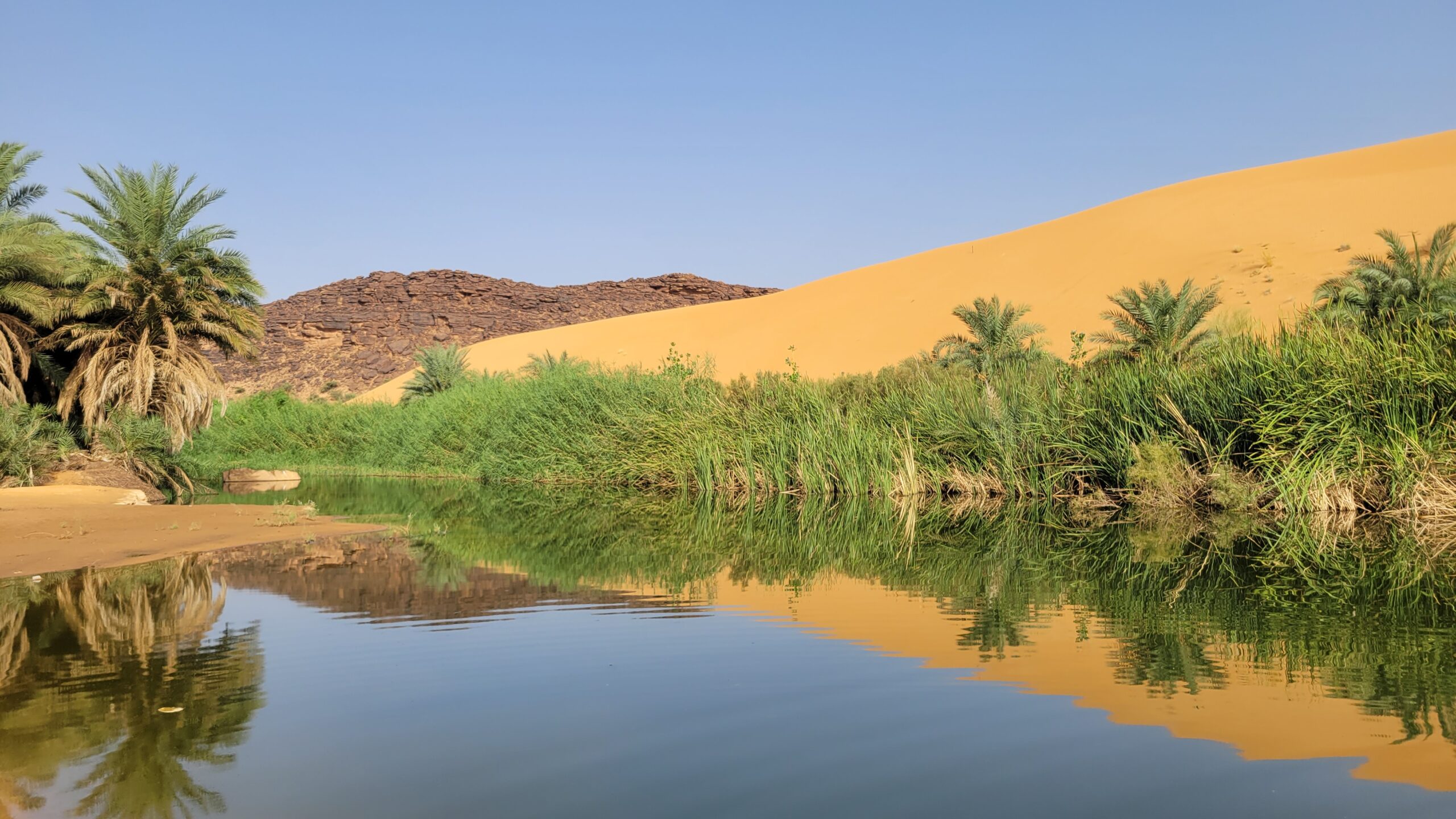 Fresh water pool at the Oasis of M'hereth, Mauritania