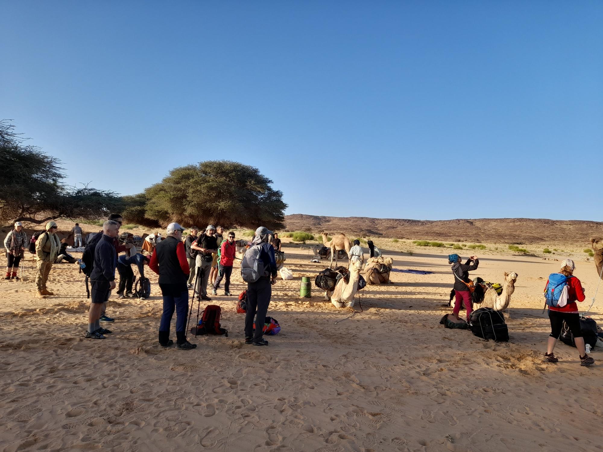 A large trekking group takes photos during a trekking rest