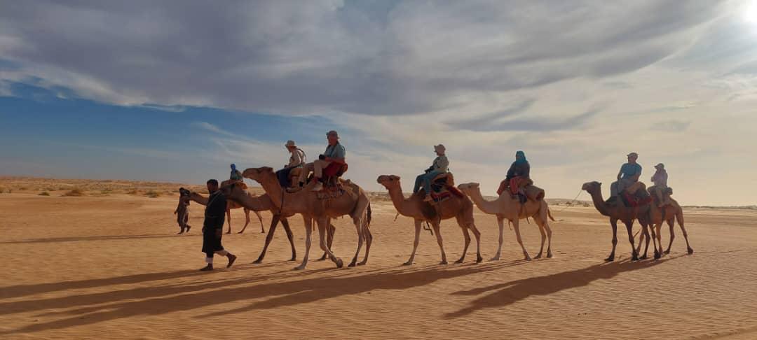A caravan of camel riders treks in the evening sun